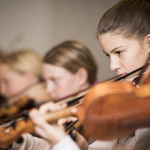violine1
