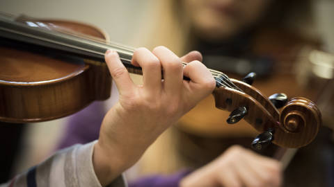 viola2