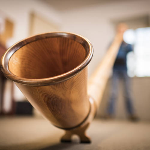 Alphorn1