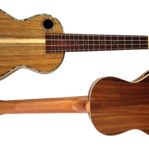 Ukulele2