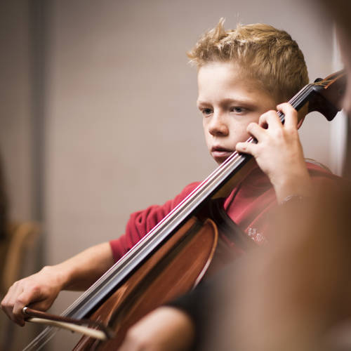 cello2