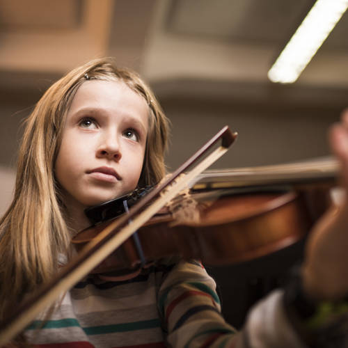 viola3
